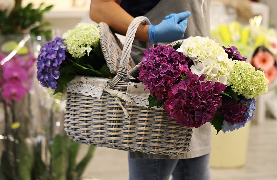 A person wearing a grey apron and blue gloves is holding a wicker basket filled with a vibrant floral arrangement of hydrangeas in shades of purple, white, and pink. The flowers are fresh, with full, 
